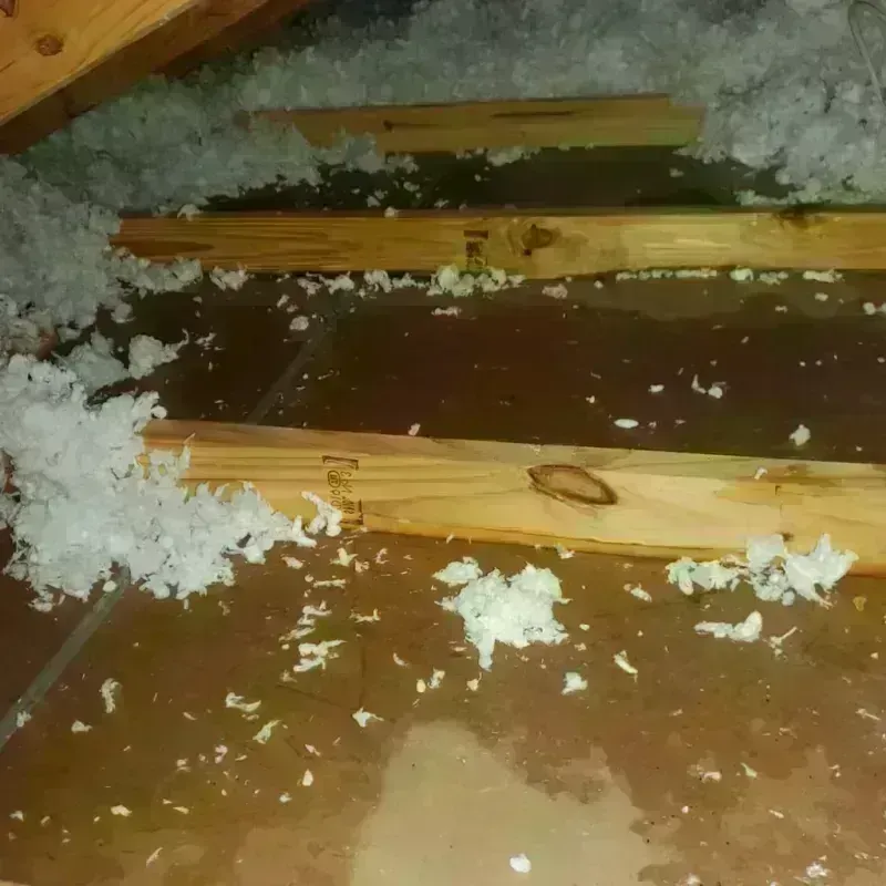 Attic Water Damage in Quincy, MI