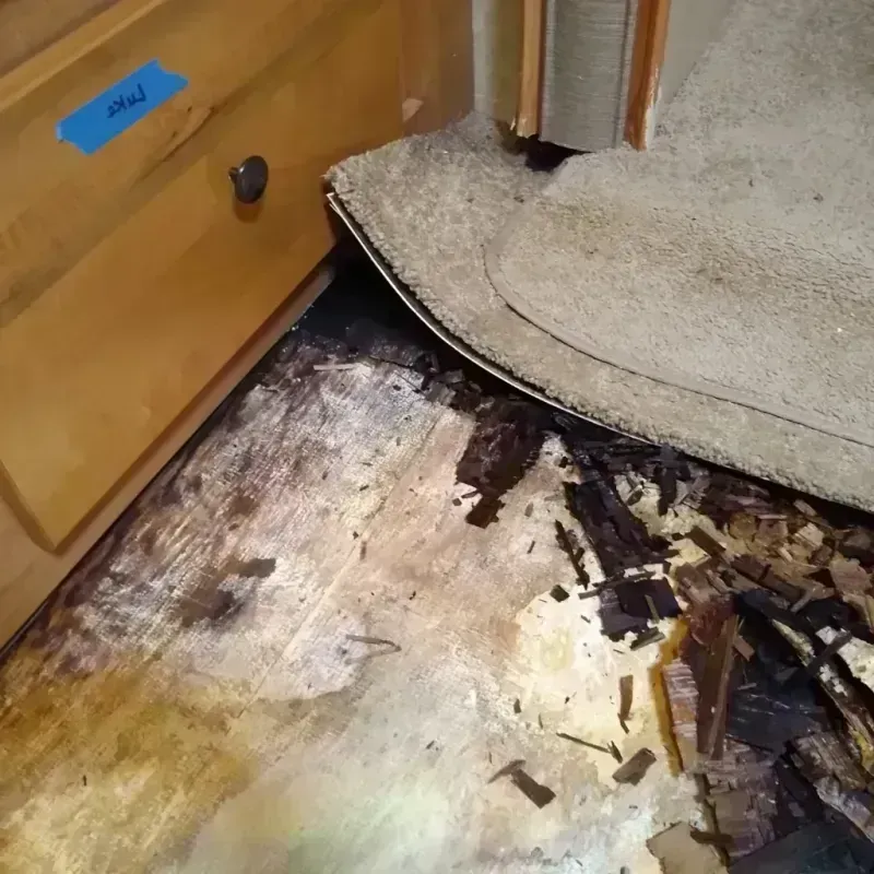 Best Wood Floor Water Damage Service in Quincy, MI